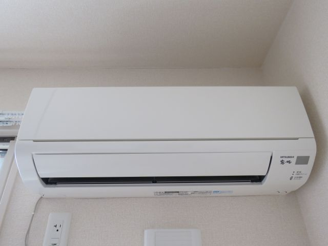 エストカーサのその他