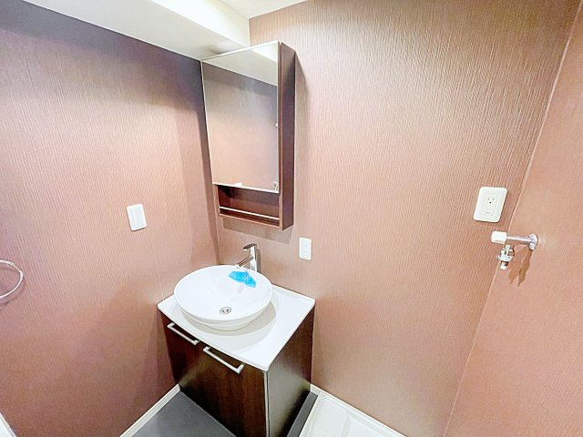 【洗面所】 | スプリングフォレスト壱番館【名古屋市賃貸・ロフト付】