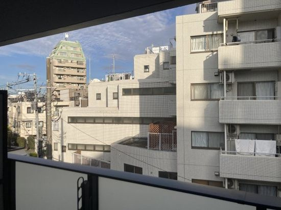 Leaf　Village　新宿若松の展望