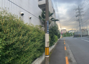 マドレーヌ子安町の画像