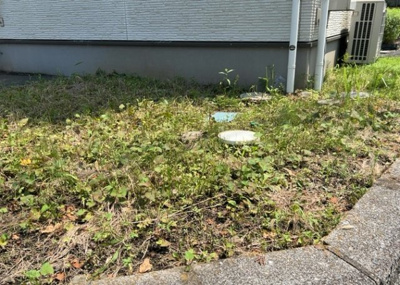【庭】 | 向原中古戸建 | 庭があることでガーデニングや家庭菜園はもちろん、こどもの遊び場やペットを放して遊ぶことができます。また、家の周囲に余裕があるということです。隣地との間があれば、十分な日当たりと、風通しが確保できます。