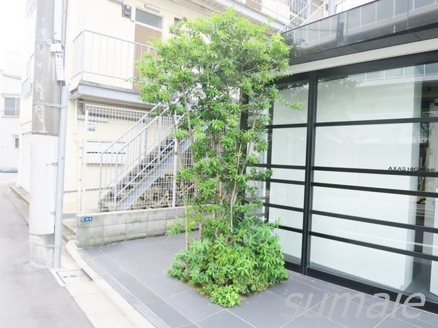 AXAS東十条アジールコートのその他|植栽です