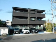southernLinoの画像