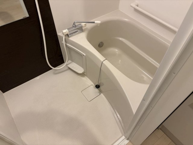 クレイノイヤサカの浴室
