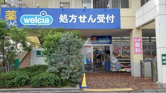 菊水レジデンス綱島Ⅰの周辺|ドラッグストアまで500m
