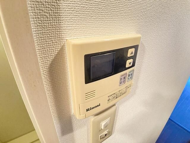 ヴィクトリアンのその他|他部屋参考写真