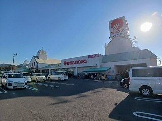 アクア　フロッソ　Ａの周辺|マルナカ白鳥店さんまで1000m