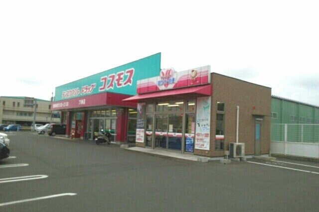 プリーズプレイスＢの周辺|コスモス六条店さんまで1100m