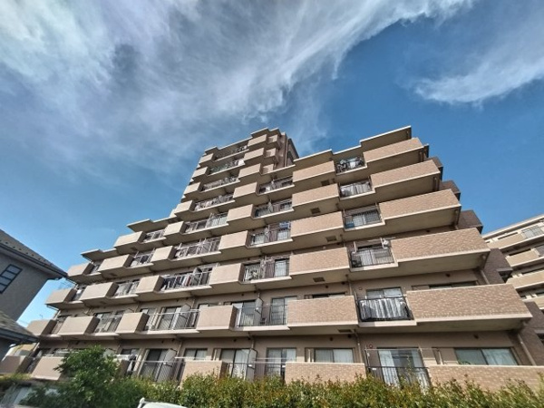 朝日パリオ西新井東館の画像