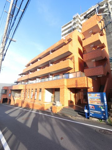セレブリティ成田の画像