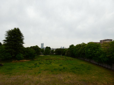 【展望】