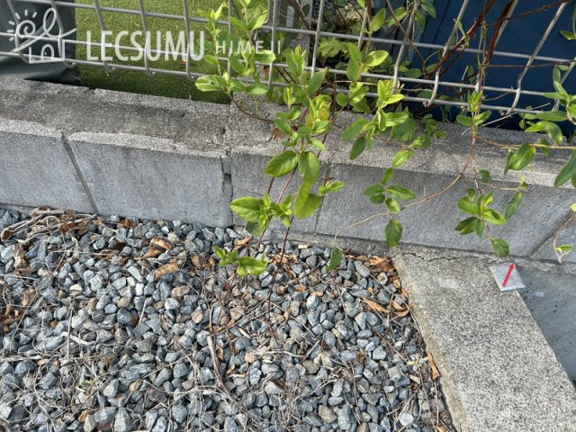 姫路市仁豊野/中古戸建のその他