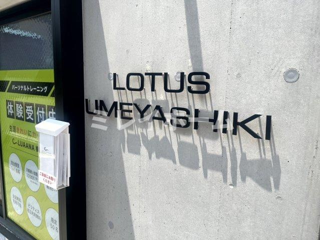 LOTUS梅屋敷のその他
