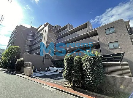 パルテール白金