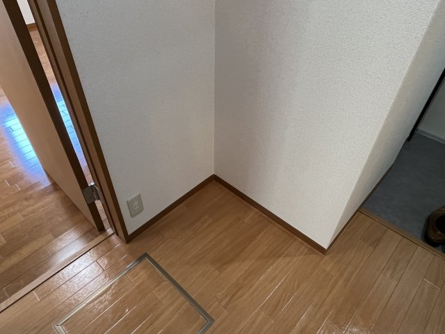 チャーリーブラウンのその他