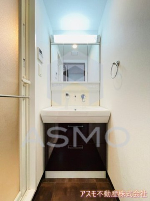 【洗面所】 | S-RESIDENCE淀屋橋 | ※建物内別間取参考写真