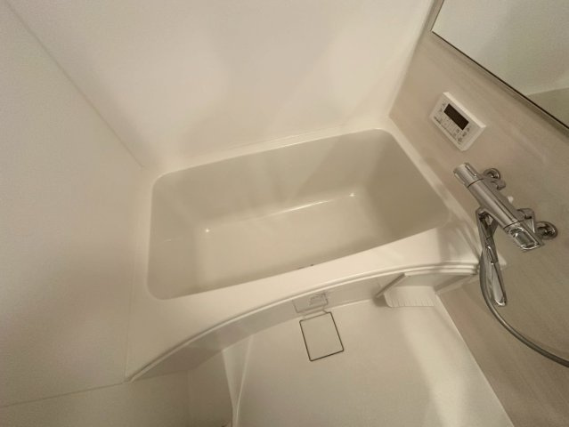 スプランディッド中之島DUEの浴室