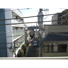 参照写真