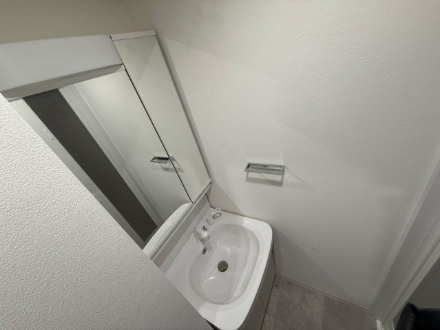 ドゥーエ南堀江の洗面所