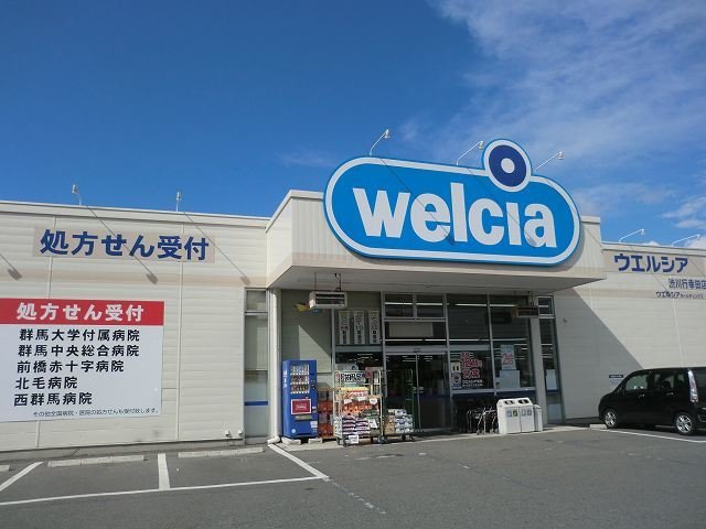 セレナコ－トの周辺|ウエルシア渋川行幸田店まで1400m