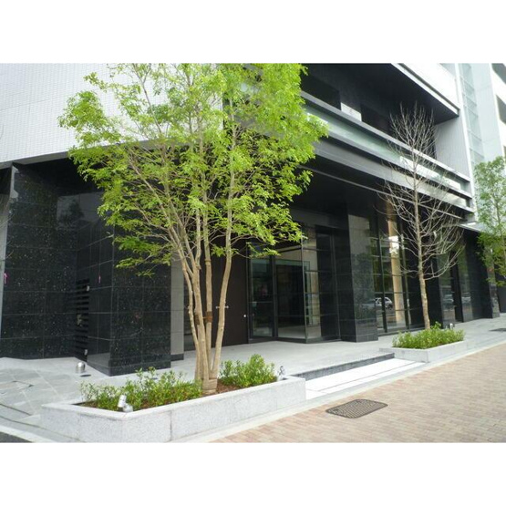 【エントランス】 | パークハビオ渋谷本町レジデンス
