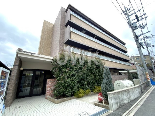 プラシド七瀬川