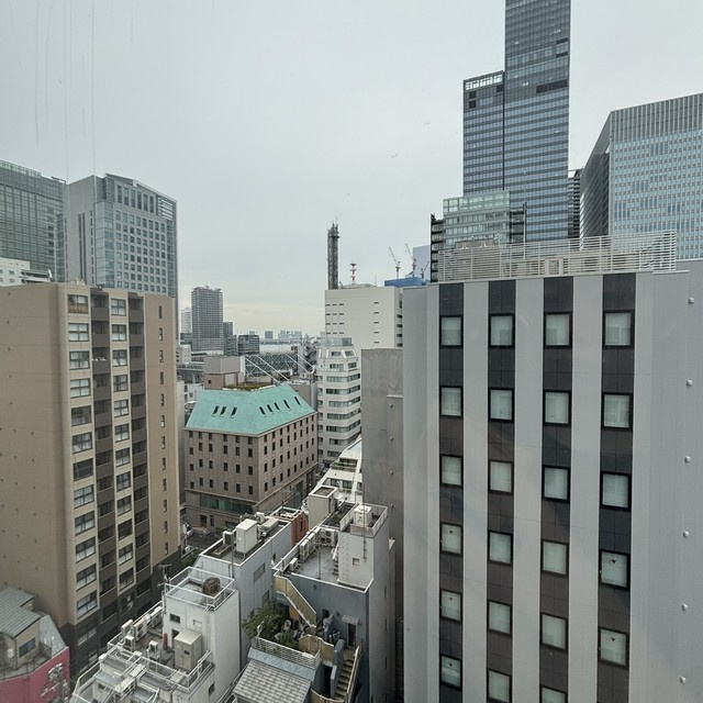Ｗｈｉｔｅ　Ｔｏｗｅｒ　Ｈａｍａｍａｔｓｕｃｈｏの展望