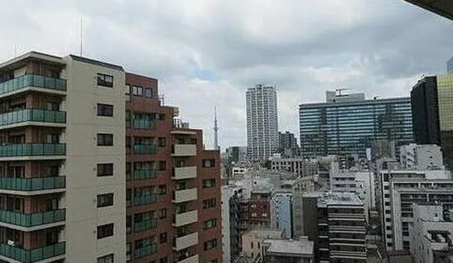 ライオンズプラザお茶の水の展望