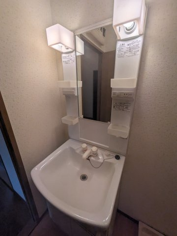 グリーンコーポBの洗面所