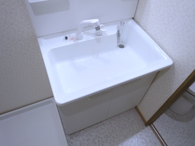 フラワーパークの洗面所|シャンプードレッサーなので、忙しい朝も時短！