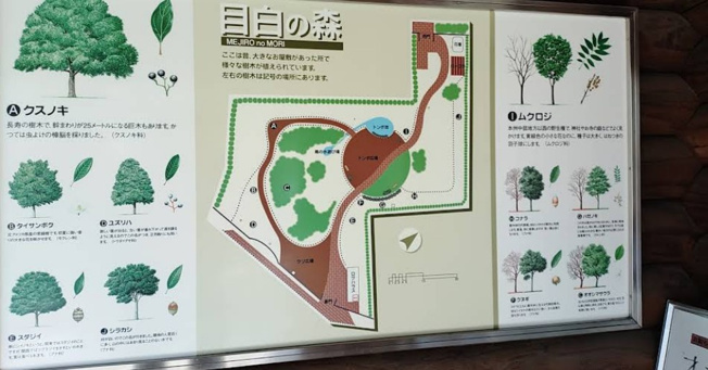 【その他】 | ウィルレーナ目白
