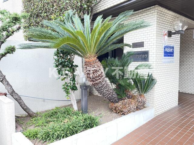 【エントランス】 | 大森山王濱栖鳳 | 落ち着いたエントランスです
