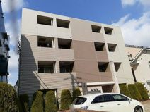 スウィートバジルの画像