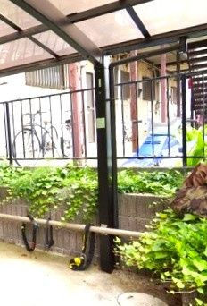 Ｔａｎｎｅｎｂａｕｍ　タンネンバームのその他共用部分