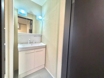 【洗面所】 | 深井東町　中古一戸建 | 洗面台新調！シャワー付き洗面台ですので、朝の身支度もスムーズにできますね♪