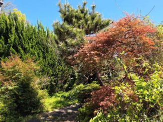  | 紅葉などの植栽が豊かで四季折…