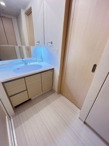 ウエストパークタワー池袋の独立洗面台