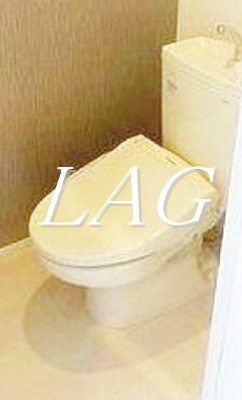 【トイレ】 | ハーモニーテラス徳丸Ⅰ | トイレです。