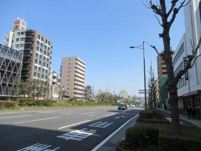 グランドムール丹波口の周辺|前面道路