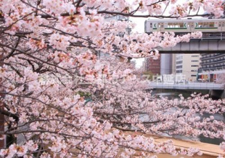 【庭】 | 御殿山ハイツ | 御殿山ハイツ　は三都市アース中延店へお任せください！　ご内覧可能なお部屋は物件現地お待ち合わせご案内可能です！