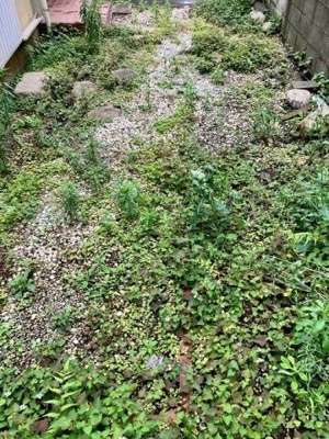【庭】 | 宮戸戸建