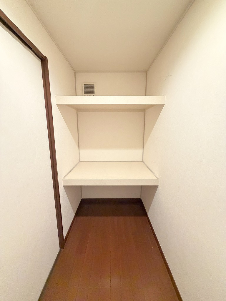 三郷市戸ケ崎2丁目　中古戸建の収納|季節物の大物家電の収納にも便利な2.1帖のウォークインクローゼット付