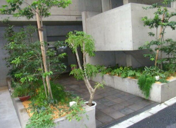 ALBAのその他共用部分