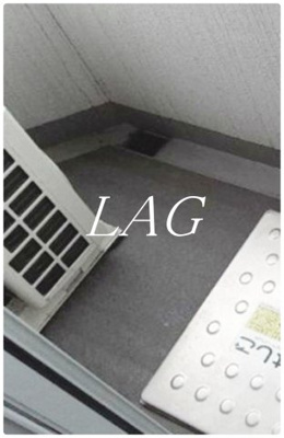 【バルコニー】 | Ｒｉｓｉｎｇ　ｐｌａｃｅ　綾瀬二番館 | バルコニーです。