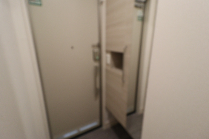 palacio Aのその他共用部分|トールタイプシューズボックス（姿見鏡付）