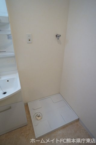 熊本市南区御幸笛田２丁目の賃貸マンションの洗面所