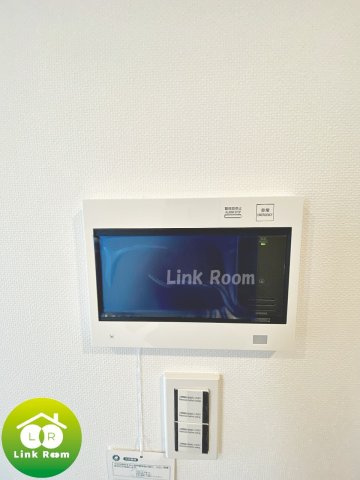 エストゥルース両国Ⅱのその他