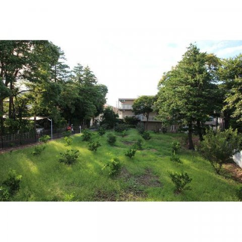 メゾン青葉の展望