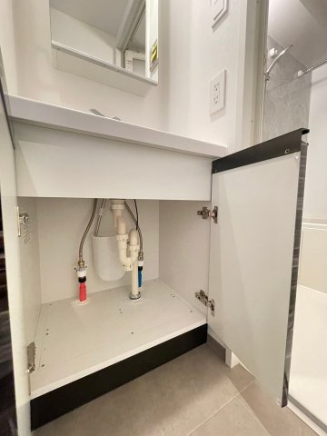 DIPS野方RESIDENCEの独立洗面台