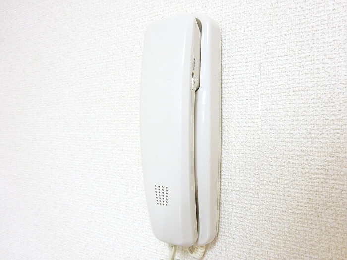 ブルーロビンのセキュリティ